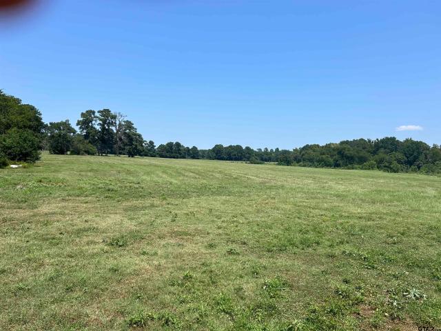 Land for sale in Smith, Texas