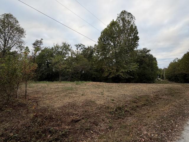 Land for sale in Mount Pleasant, Middle Tennessee