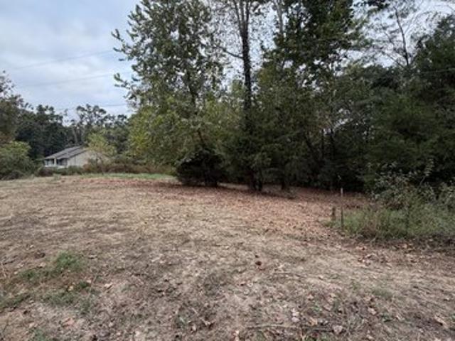 Land for sale in Mount Pleasant, Middle Tennessee