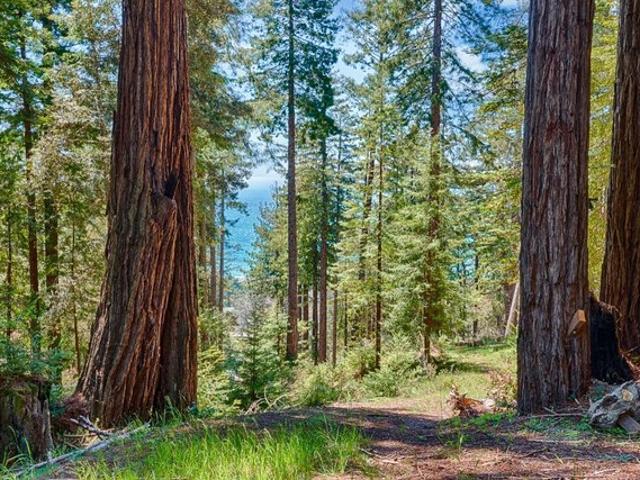 Land for sale in Jenner, California