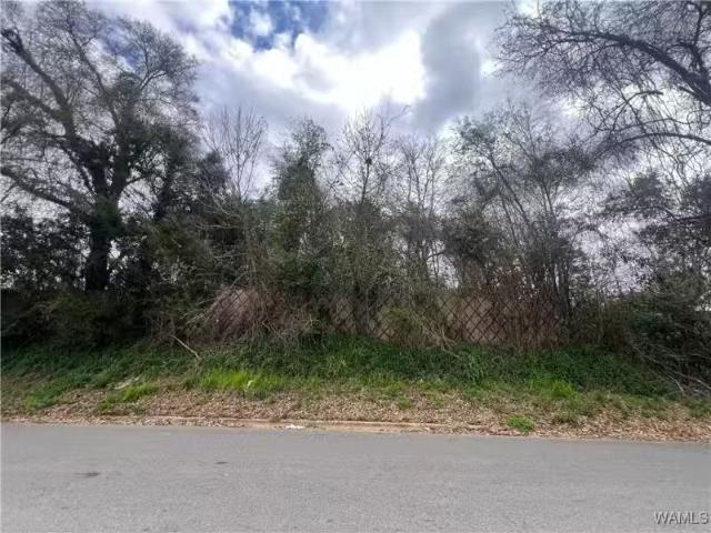 House for rent in Alberta, Alabama