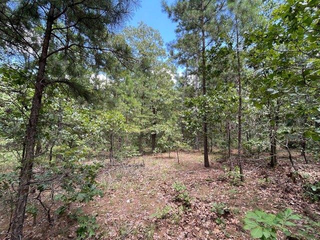 Land for sale in Oklahoma