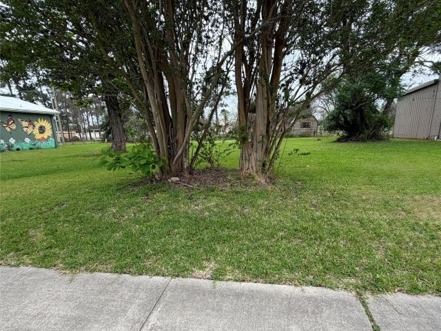Land for sale in West Columbia, Texas
