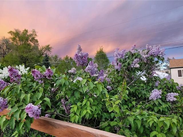 House for sale in Lakewood, Colorado