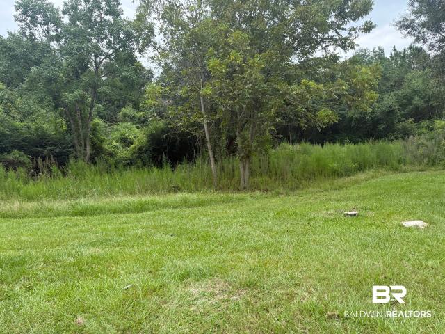 Land for sale in Atmore, Alabama