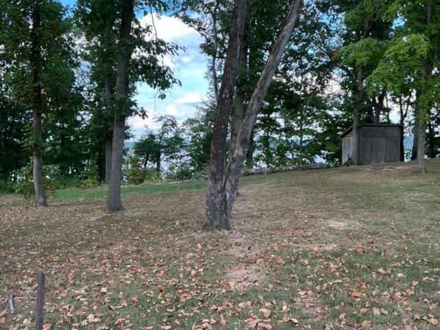 Land for sale in Adolphus, Kentucky