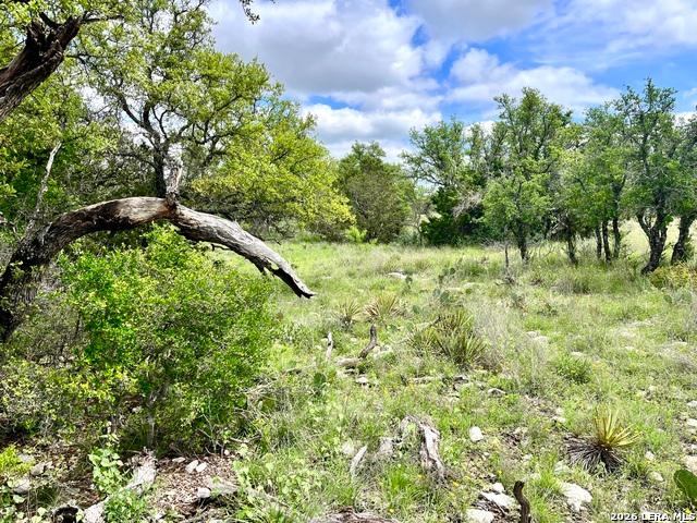 Farm for sale in Eldorado, Texas