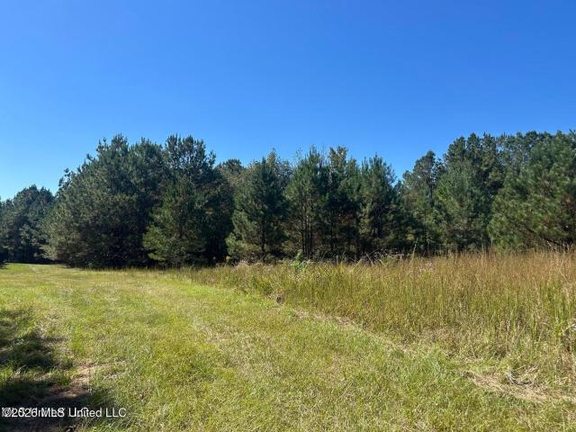 Land for sale in Meridian, Mississippi