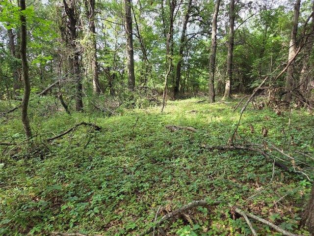 Land for sale in Tullahassee, Oklahoma