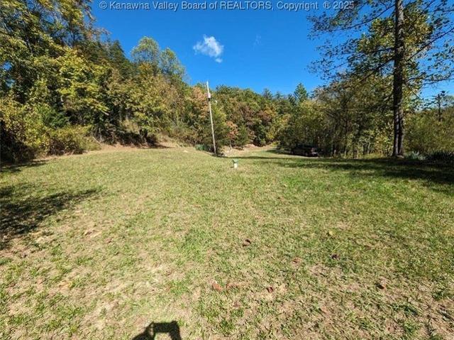 Land for sale in Tornado, West Virginia