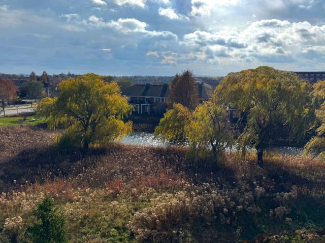 Property for sale in Northbrook, Illinois