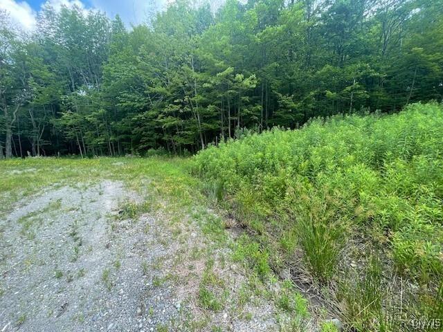Land for sale in Cortland, New York