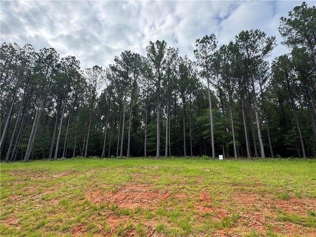 Land for sale in Auburn, Alabama