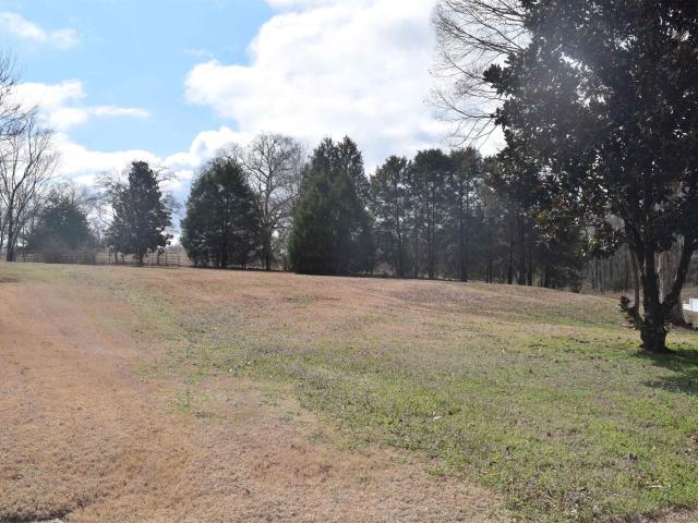 Land for sale in Alabama