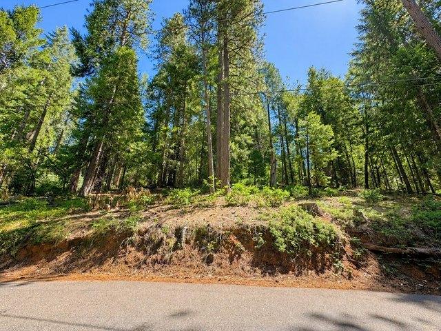 Land for sale in Pollock Pines, California