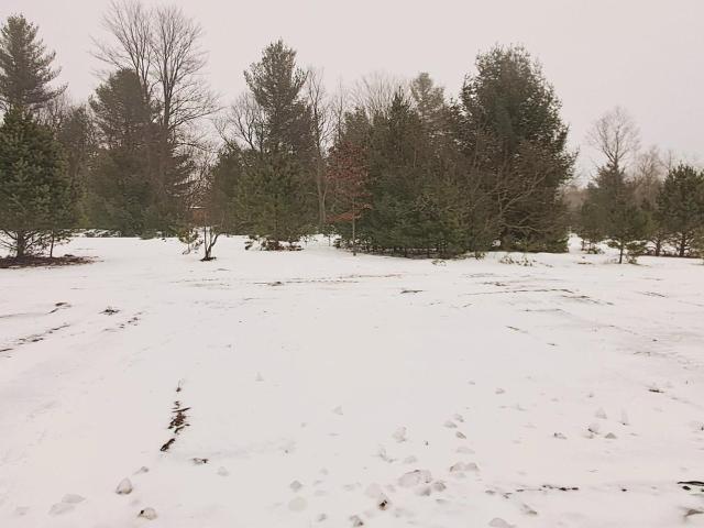 House for sale in Green Lake, Michigan