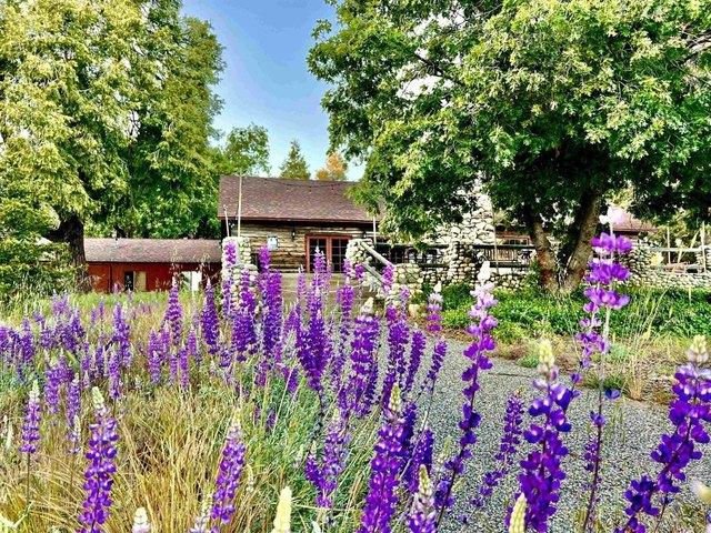 House for sale in Palomar Mountain, California
