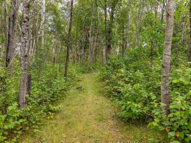 House for sale in Verndale, Wadena County