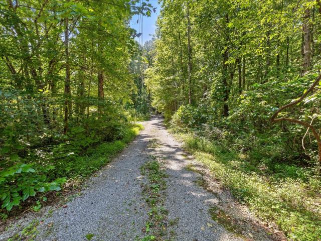 Land for sale in Fairmount, Signal Mountain