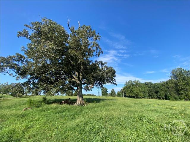 Land for sale in Oconee, Georgia