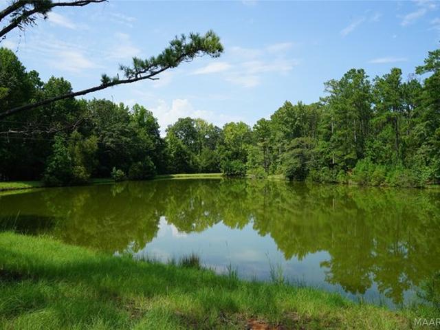 Land for sale in Lapine, Alabama