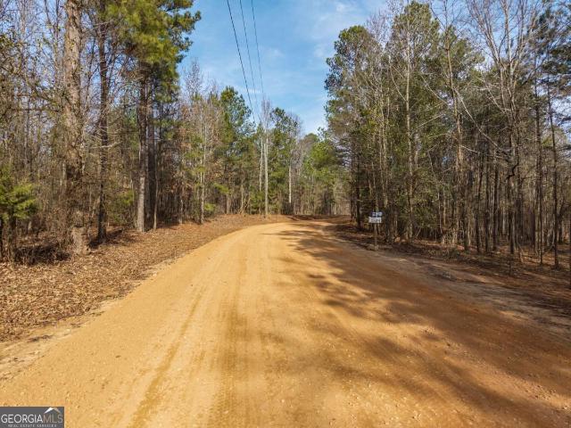 Land for sale in Comer, Georgia
