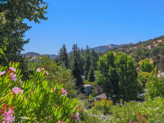 Condo for sale in Walnut Creek, California