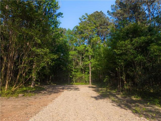 Land for sale in Abita Springs, Louisiana