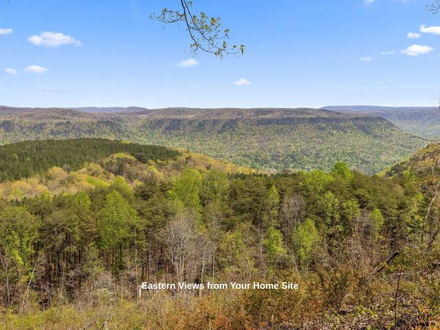 Land for sale in Tennessee