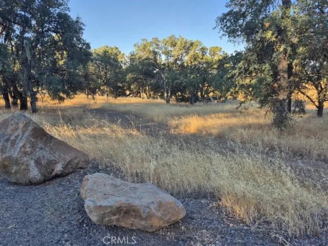 Land for sale in Lake, California