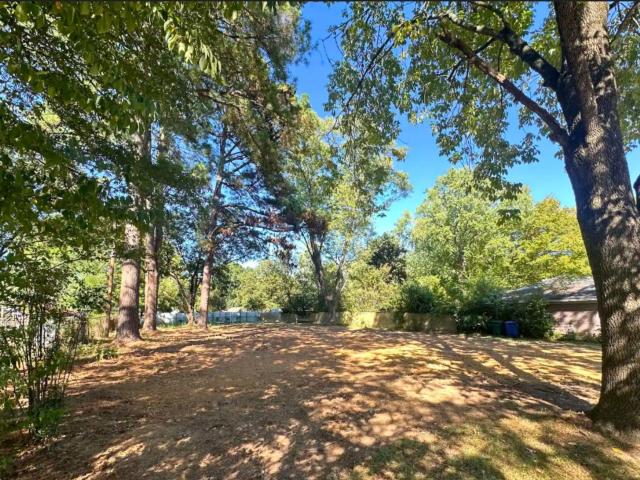 Land for sale in Conway, Faulkner County