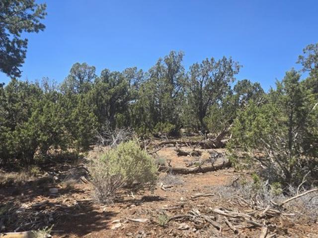 Land for sale in Williams, Arizona