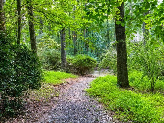 House for sale in Chapel Hill, North Carolina
