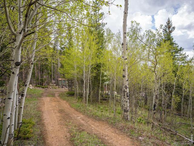 House for sale in Red Feather Lakes, Colorado
