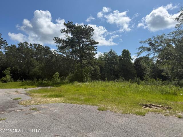Land for sale in Mississippi