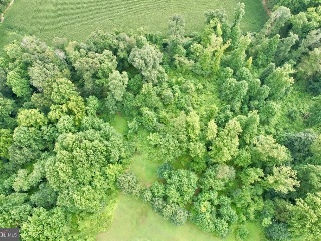 Land for sale in Forest Hill, Maryland