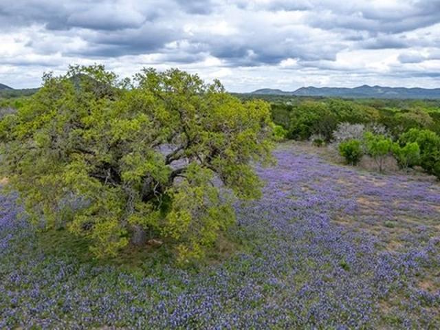 Farm for sale in Camp Wood, Texas