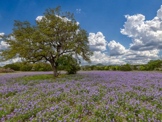 Property for sale in Edwards, Texas
