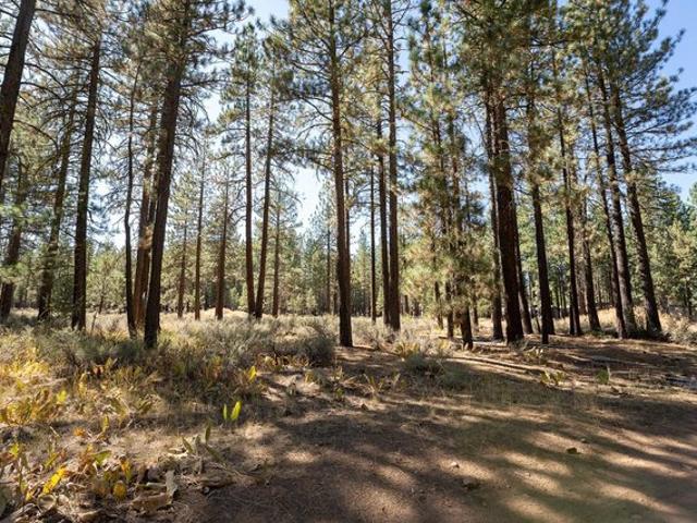 Land for sale in Portola, California