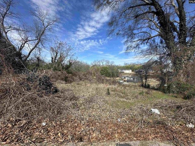 Land for sale in Jonesville, South Carolina