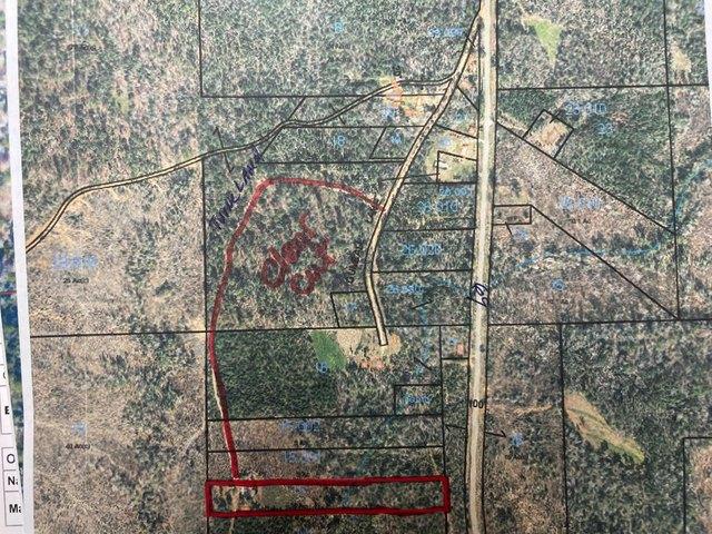 House for sale in Coffeeville, Alabama