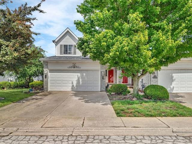 Townhouse for sale in Braidwood, Illinois