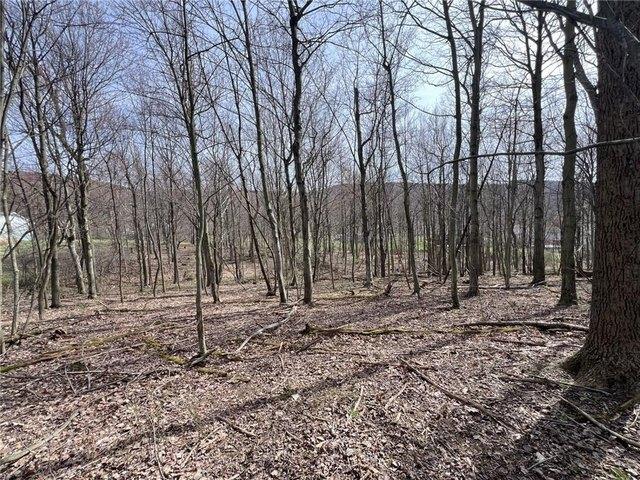 Land for sale in Hopwood, North Union Township