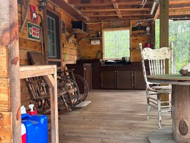 Land for sale in Collins, Tattnall County
