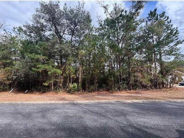 Land for sale in Waverly, Georgia
