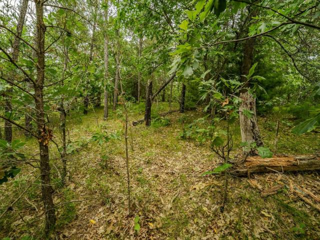 Land for sale in Warrens, Wisconsin
