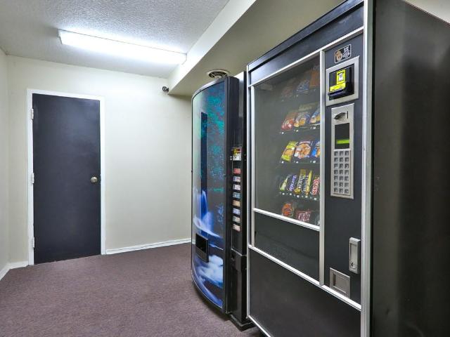 Apartment for rent in Durham, Ontario