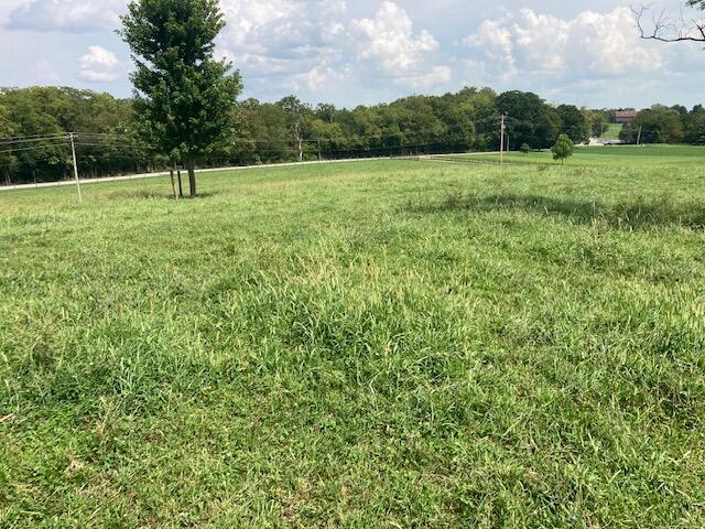 Farm for sale in Jacksonville, Cynthiana