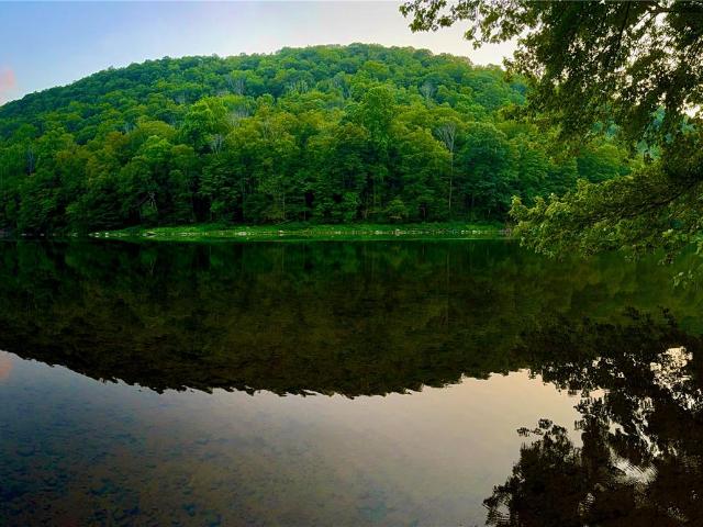 Land for sale in East Branch, New York