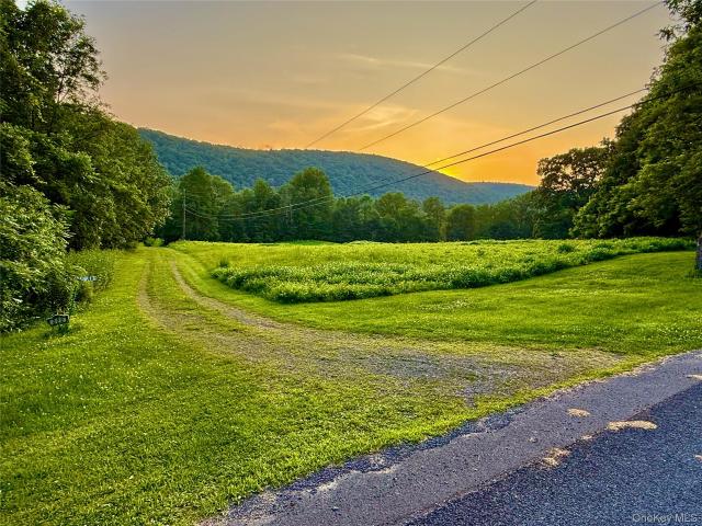 Land for sale in East Branch, New York